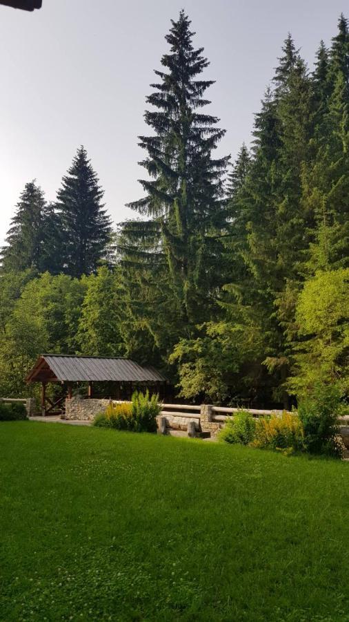 Cheremosh Jablunicja Kültér fotó